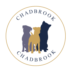 Chadbrook Kennels - Shiba Inu and Parson Russell Terrier Breeder in Scotland, UK